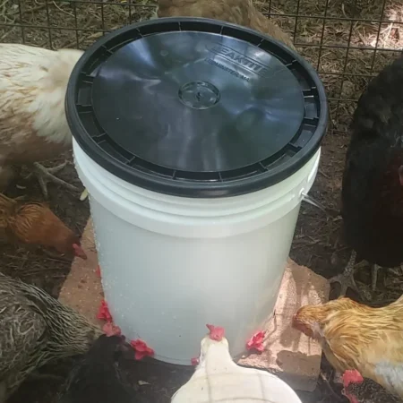 5 Gallon Chicken Water Container