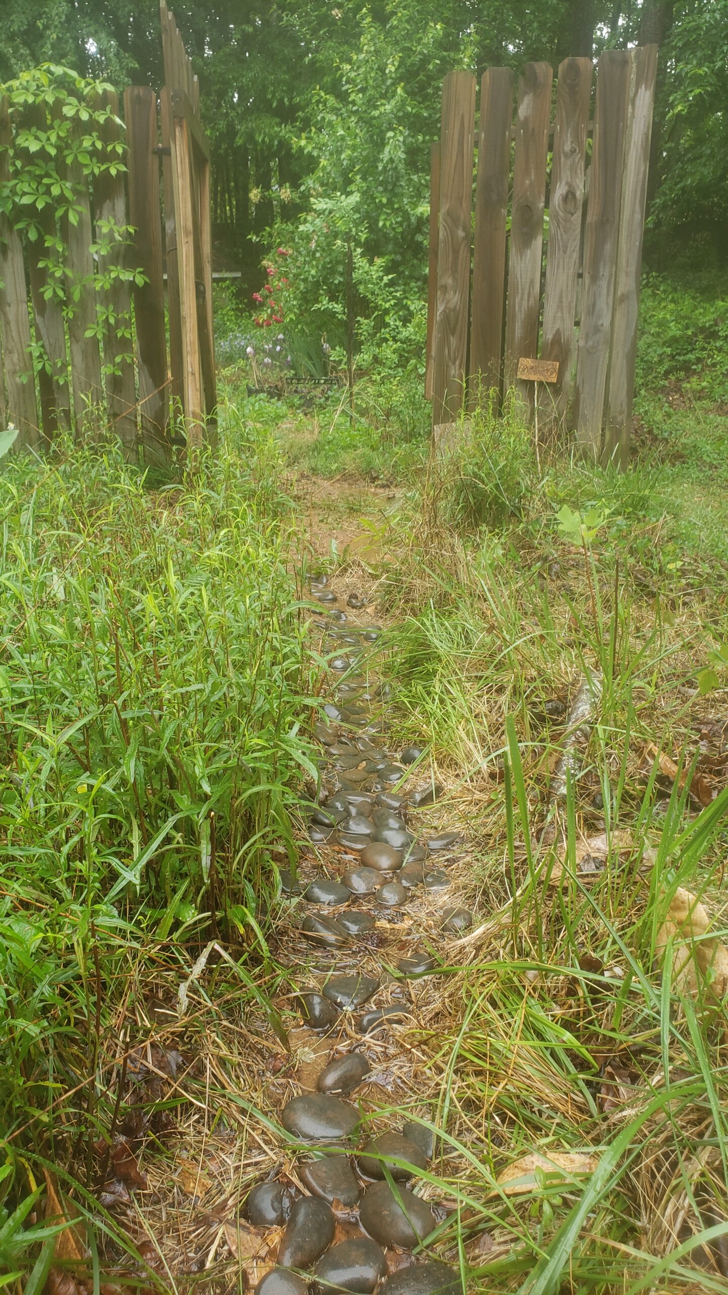 Escape the Noise: Our Secret Garden Getaway